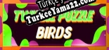 Türkçe yama Twizzle Puzzle Birds