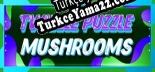 Twizzle Puzzle Mushrooms Türkçe yama Yaması + Metin