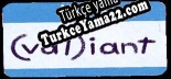 Türkçe yama için (val)iant or, vals guide to having a broken vag