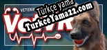 VetVR Veterinary Simulator Türkçe seslendirme + altyazı
