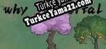 Türkçe yama için WhyImmortal