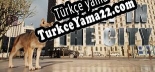 WOLF IN THE CITY Türkçe yama Yaması + Metin