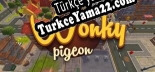 Wonky Pigeon Türkçe yama