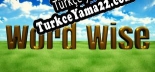 Oyun için Türkçe yama Word Wise