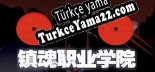 镇魂职业学院 Türkçe yama