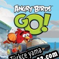 Angry Birds Go! Türkçe yama