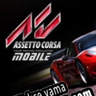 Assetto Corsa Mobile Türkçe yama