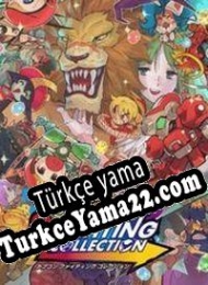 Capcom Fighting Collection Türkçe yama
