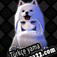 Crystar Türkçe yama
