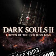 Dark Souls II: Crown of the Old Iron King Türkçe yama