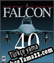 Falcon 4.0 Türkçe yama