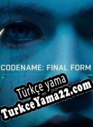 Final Form Türkçe yama