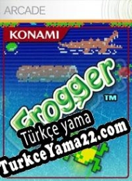 Frogger Türkçe yama