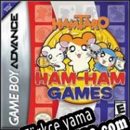 Hamtaro: Ham-Ham Games Türkçe yama