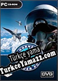 Hornet Leader Türkçe yama