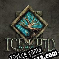 Icewind Dale: Enhanced Edition Türkçe yama