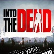 Into the Dead Türkçe yama