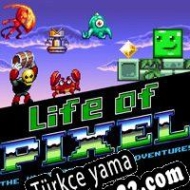 Life of Pixel Türkçe yama