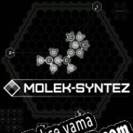 Molek-Syntez Türkçe yama