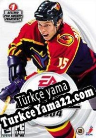 NHL 2004 Türkçe yama