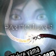 Particulars Türkçe yama