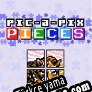 Pic-a-Pix Pieces Türkçe yama