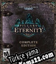 Pillars of Eternity Türkçe yama