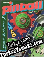 Pinball Dreams Türkçe yama