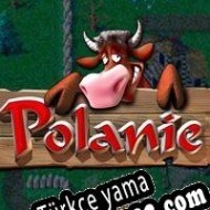 Polanie Remake Türkçe yama