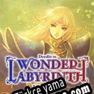 Record of Lodoss War: Deedlit in Wonder Labyrinth Türkçe yama