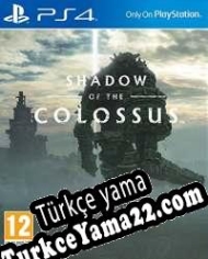 Shadow of the Colossus Türkçe yama